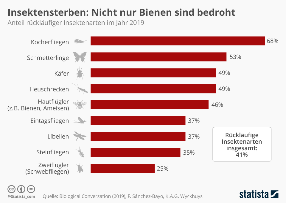 Anteil Insekten weltweit Darstellung des weltweiten Insektensterbens