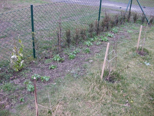 Hecke Hecke