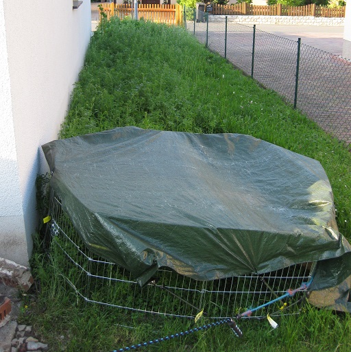 IMG_0278 IMG_0278